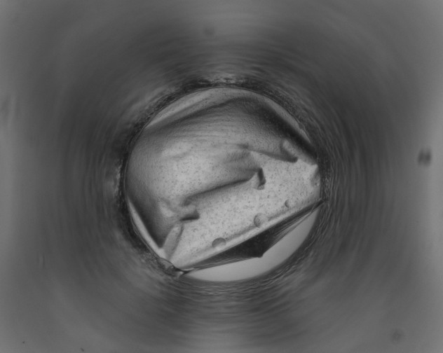 X0000091970652200710041050