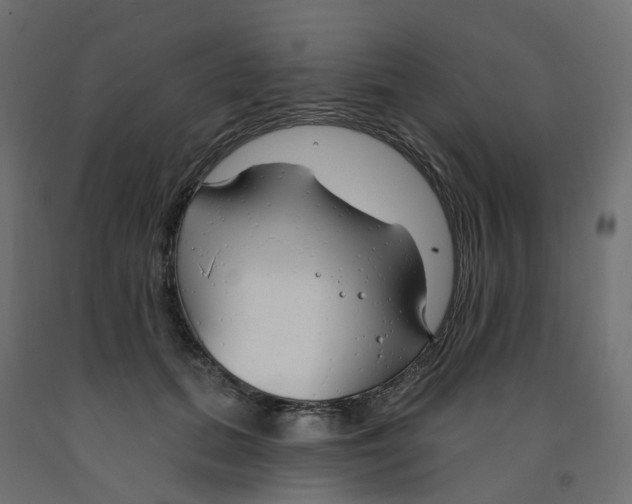 X0000091970655200710041050