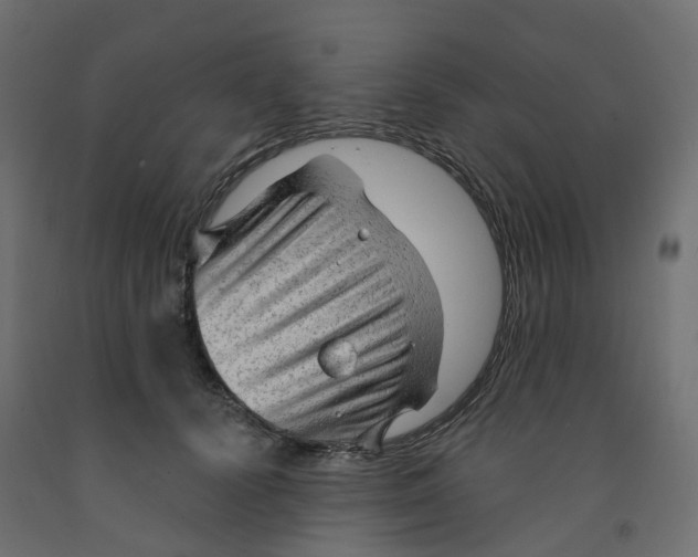X0000091970656200710041050
