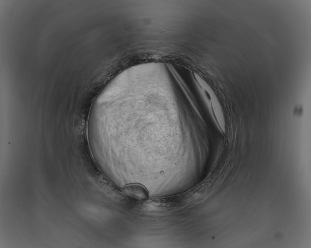 X0000091970657200710041050