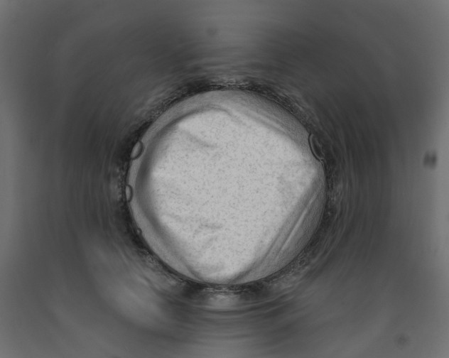X0000091970658200710041050