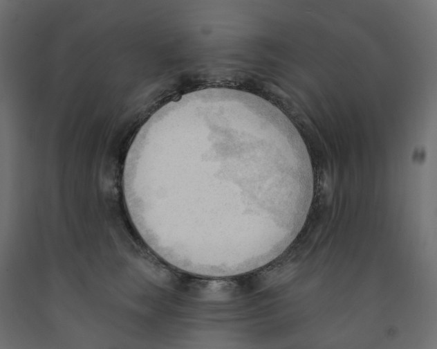 X0000091970663200710041050