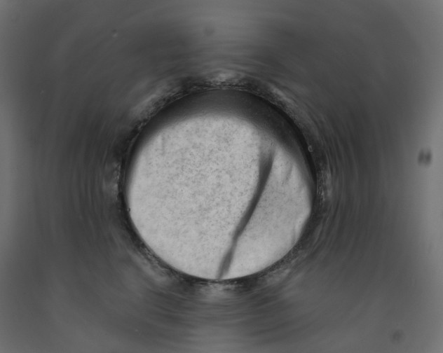X0000091970664200710041050
