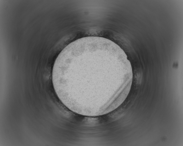 X0000091970665200710041050