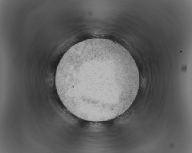 X0000091970666200710041050