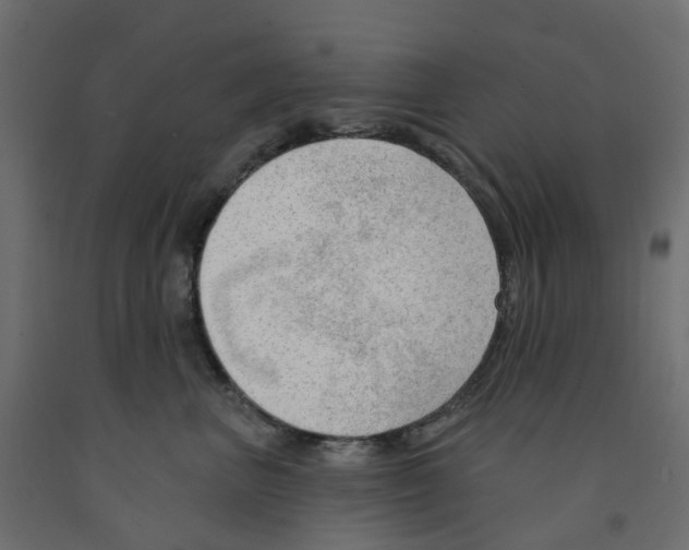 X0000091970667200710041050