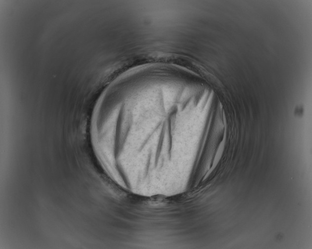 X0000091970668200710041050