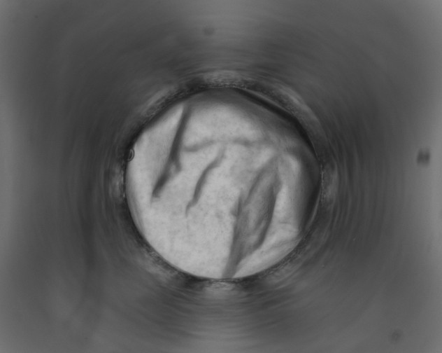 X0000091970669200710041050