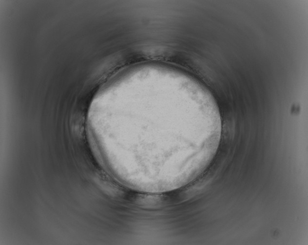 X0000091970671200710041050