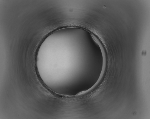 X0000091970673200710041049