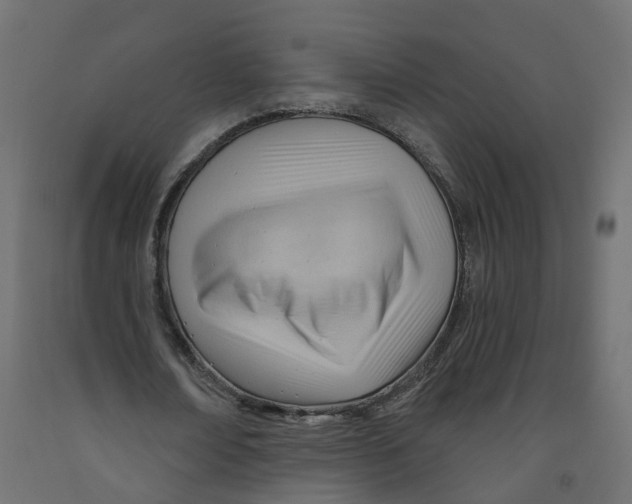 X0000091970674200710041049