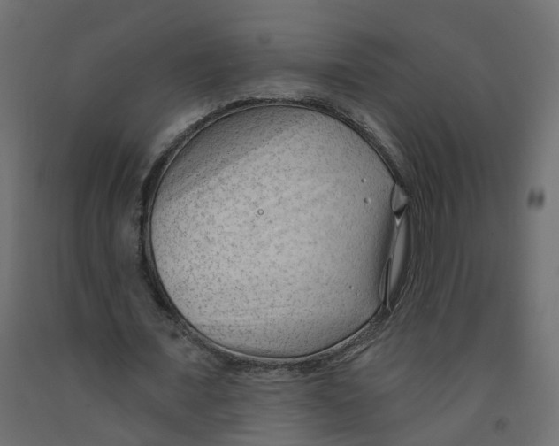 X0000091970675200710041049