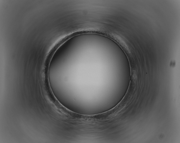 X0000091970676200710041049