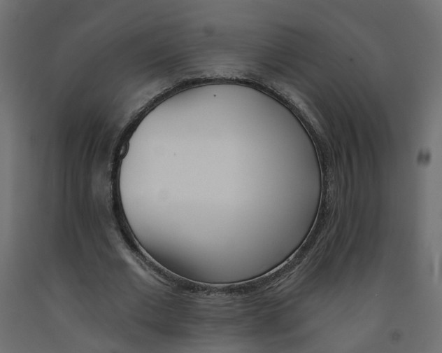 X0000091970677200710041049