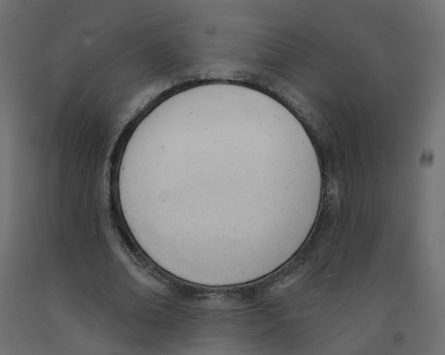 X0000091970678200710041049