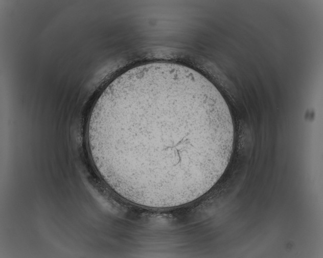 X0000091970683200710041049