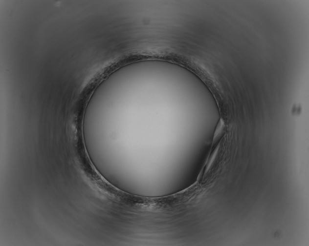 X0000091970688200710041049