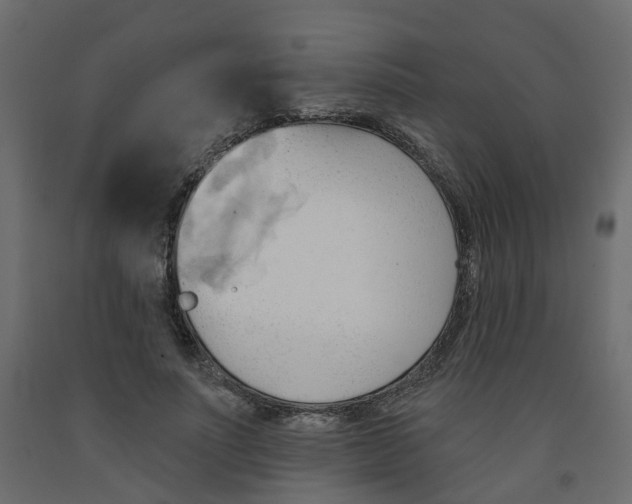 X0000091970691200710041049