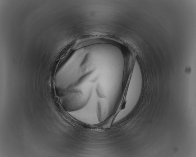 X0000091970692200710041049