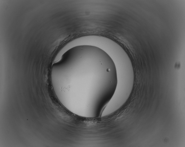 X0000091970693200710041049