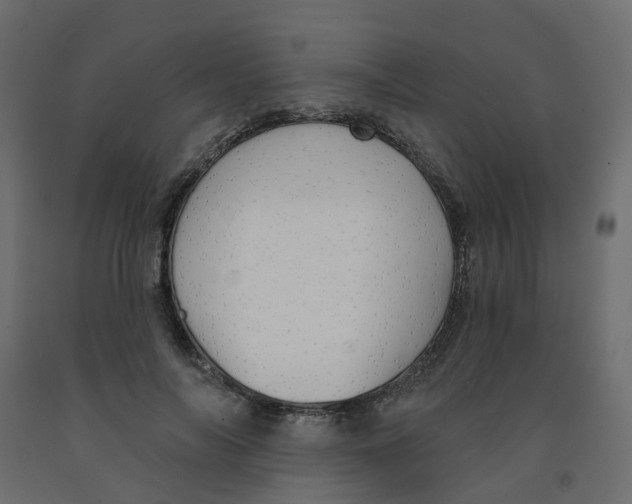 X0000091970694200710041049