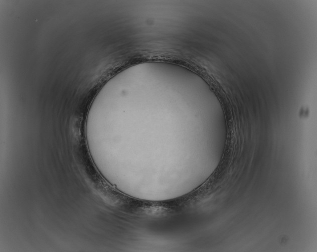 X0000091970695200710041049