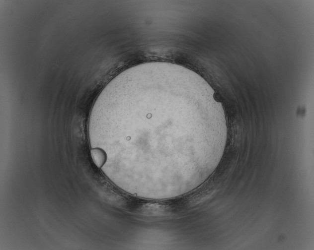 X0000091970699200710041049