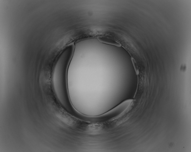 X0000091970700200710041049