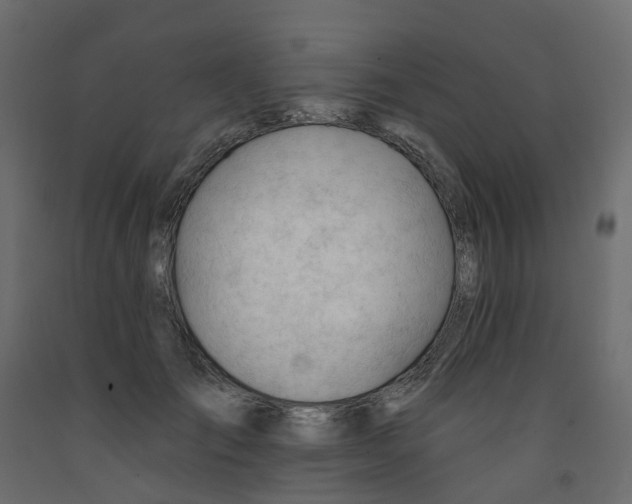 X0000091970701200710041049
