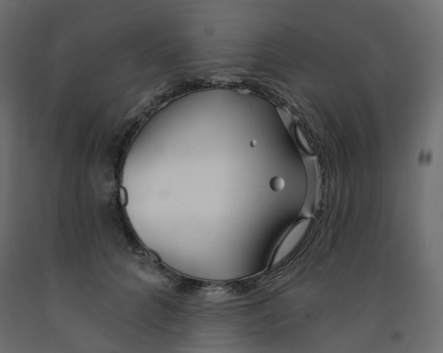 X0000091970704200710041049