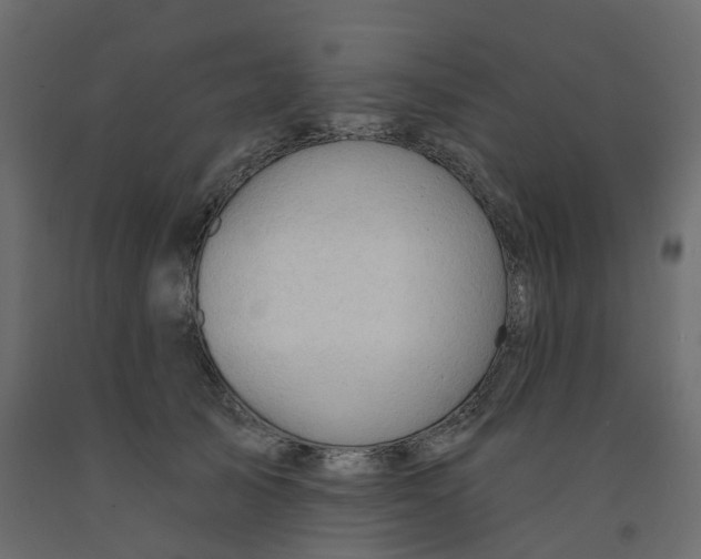 X0000091970705200710041049