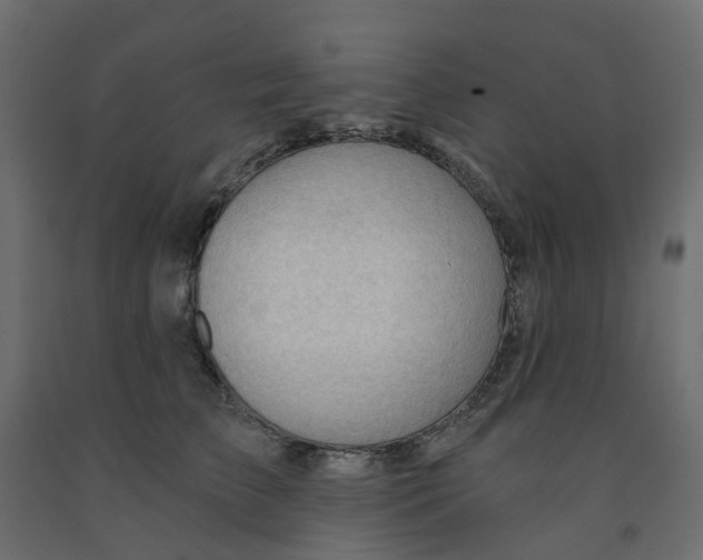 X0000091970709200710041049