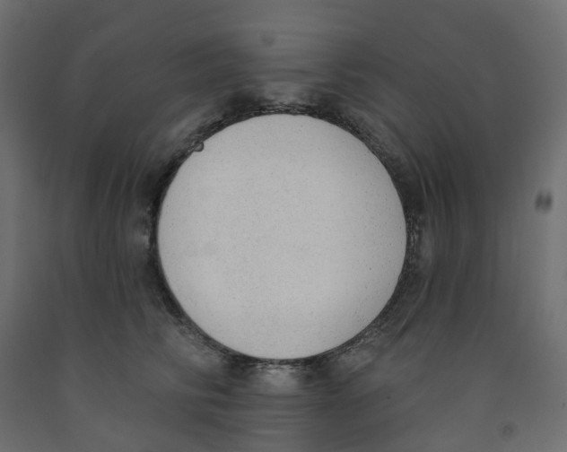X0000091970710200710041049