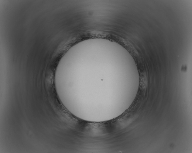 X0000091970713200710041049