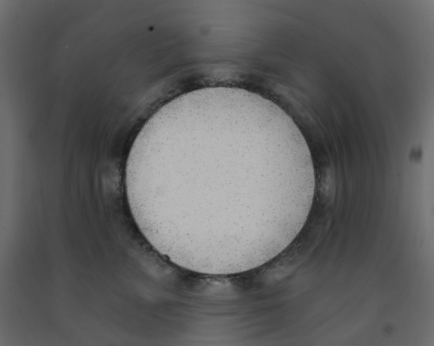 X0000091970715200710041049