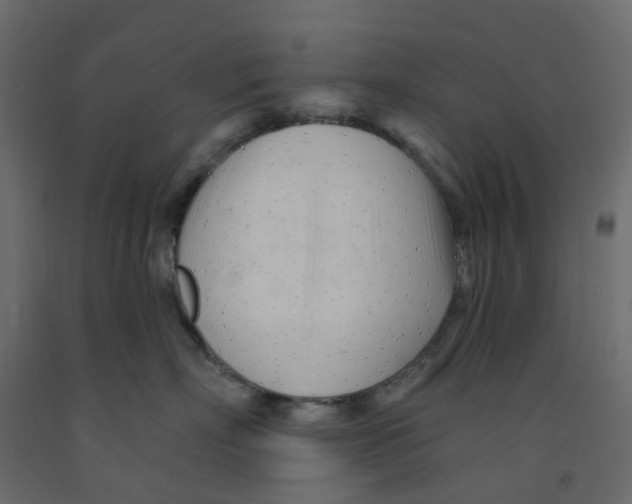 X0000091970718200710041049