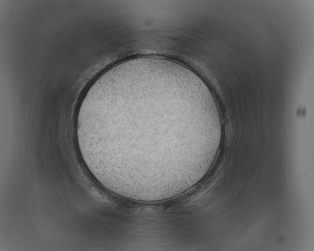 X0000091970721200710041048