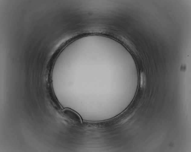 X0000091970723200710041048