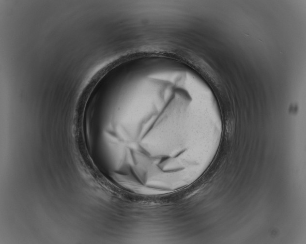 X0000091970724200710041048