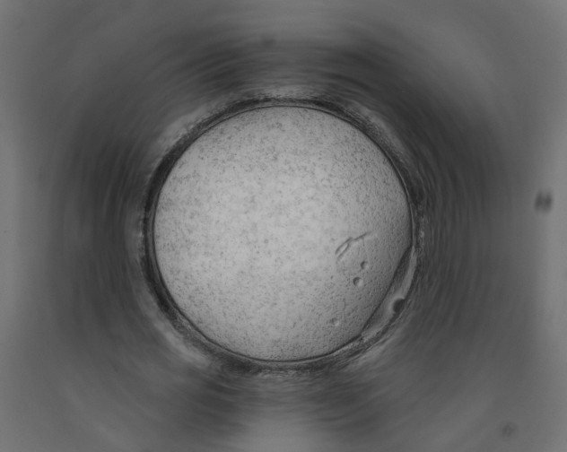 X0000091970725200710041048