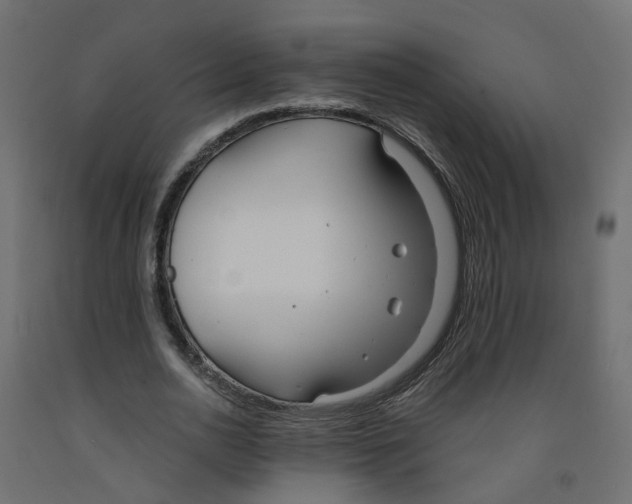 X0000091970726200710041048