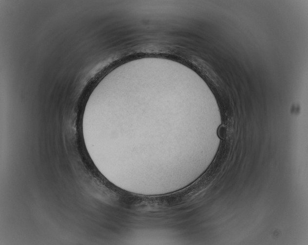 X0000091970727200710041048