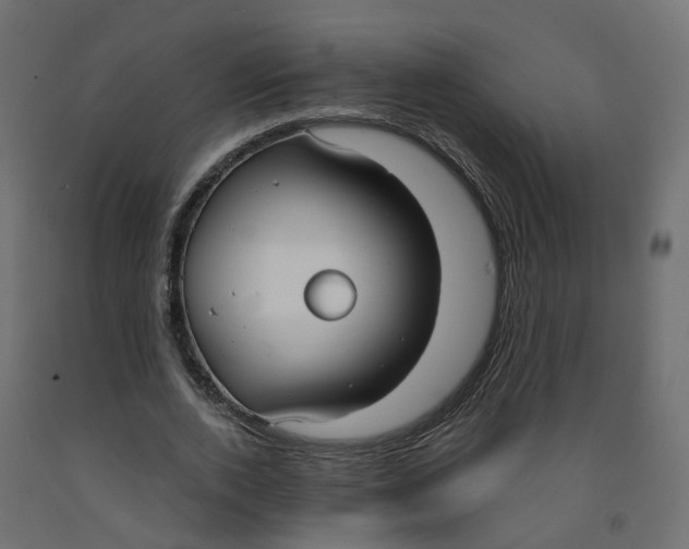 X0000091970728200710041048