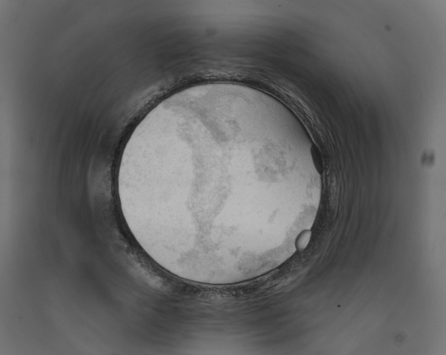 X0000091970729200710041048