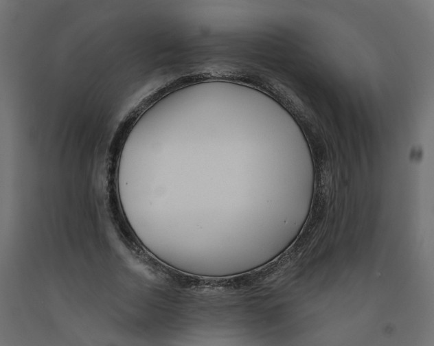 X0000091970730200710041048