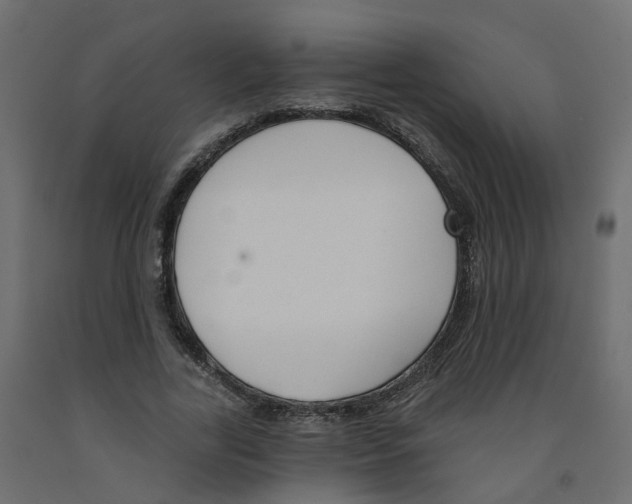 X0000091970731200710041048