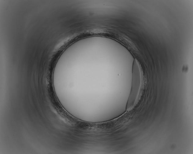 X0000091970732200710041048