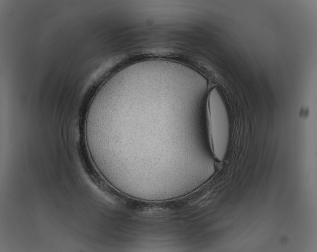 X0000091970734200710041048