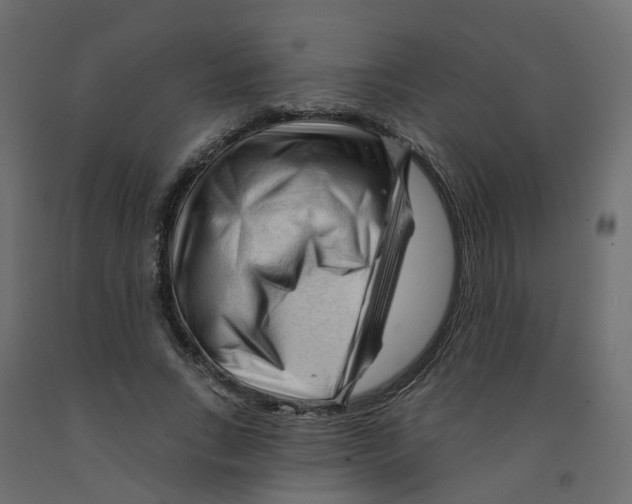 X0000091970735200710041048