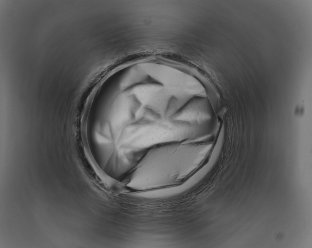 X0000091970736200710041048